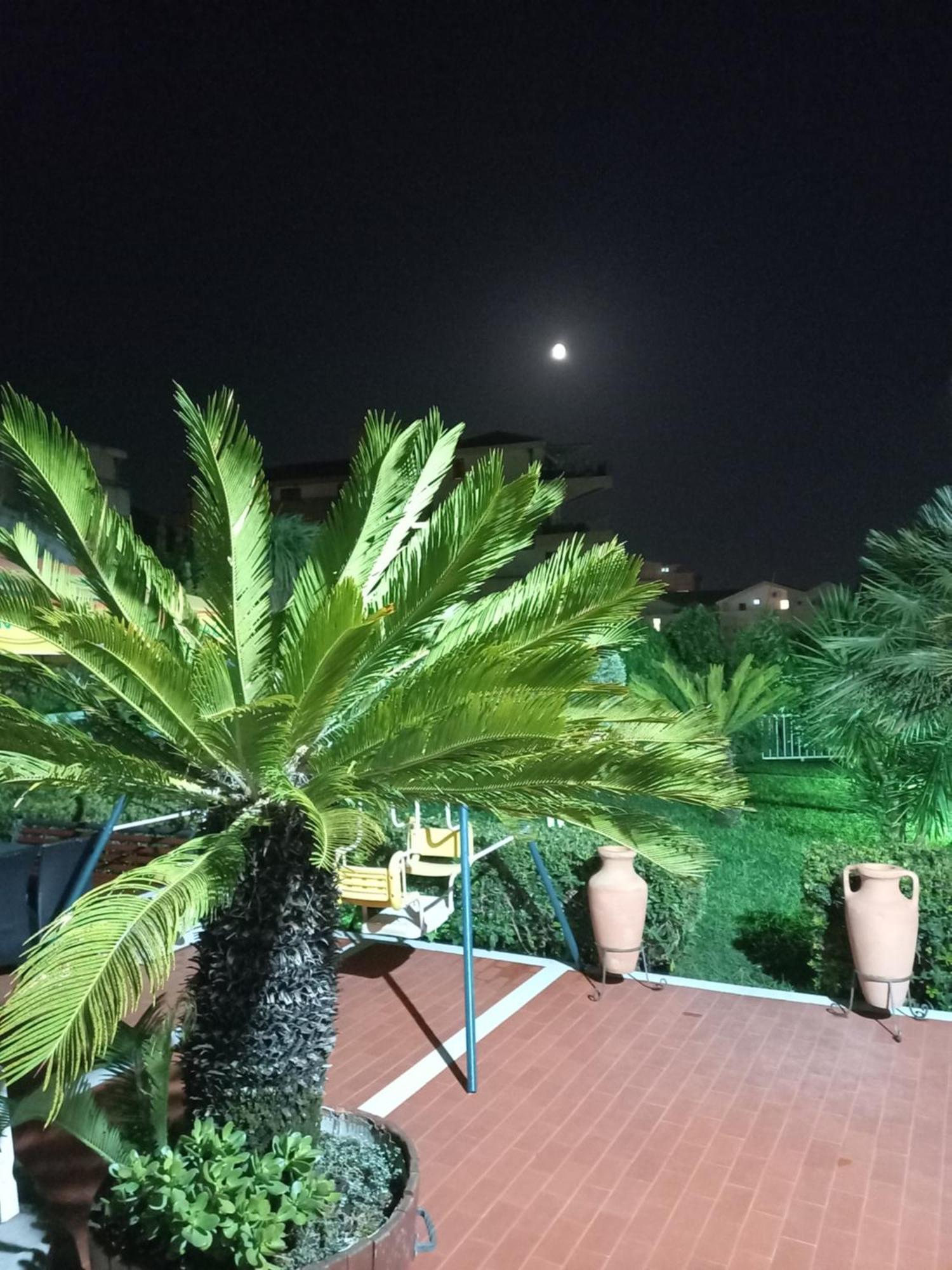 Guest house Vila L *